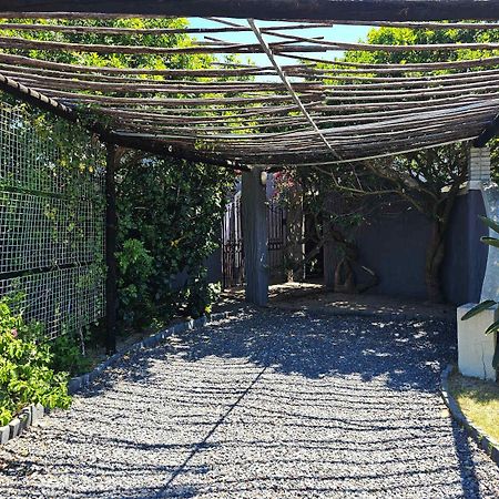 Ferienwohnung Panorama Indlu Kapstadt Exterior foto